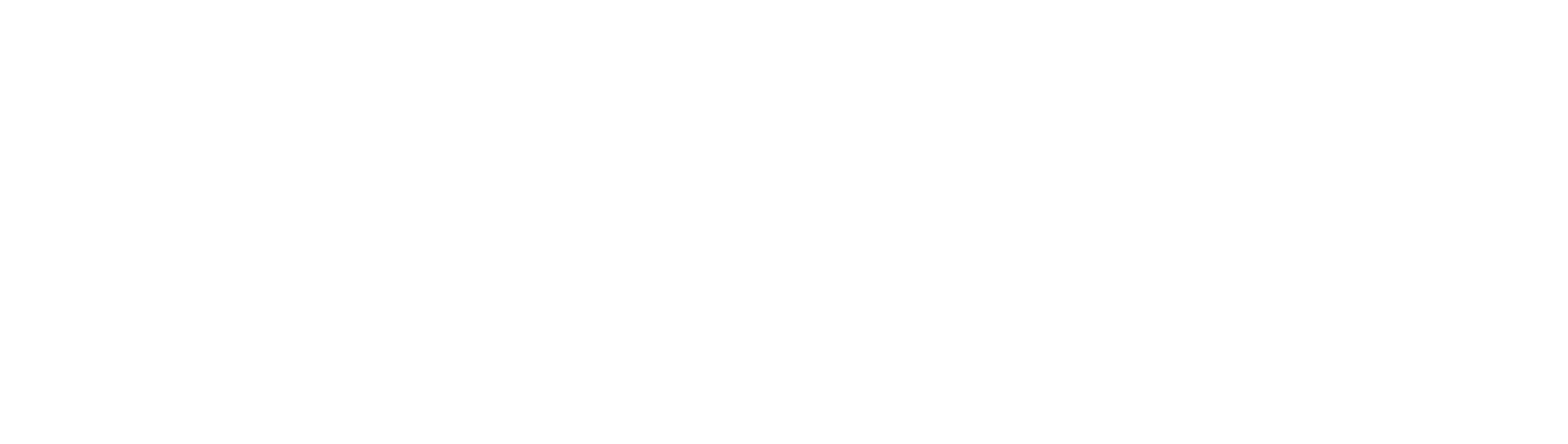 Fouad Houssien